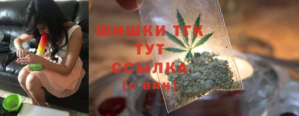хмурый Горняк