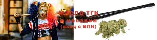хмурый Горняк