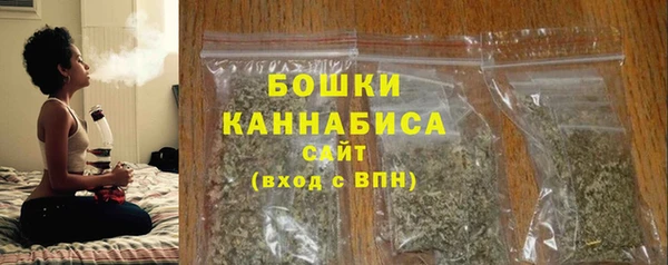 хмурый Горняк