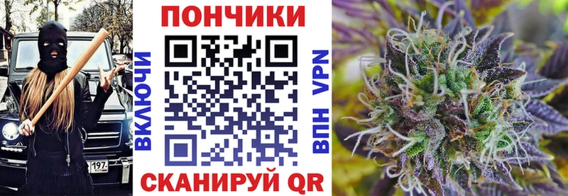 как найти   Чухлома  Канабис Amnesia 